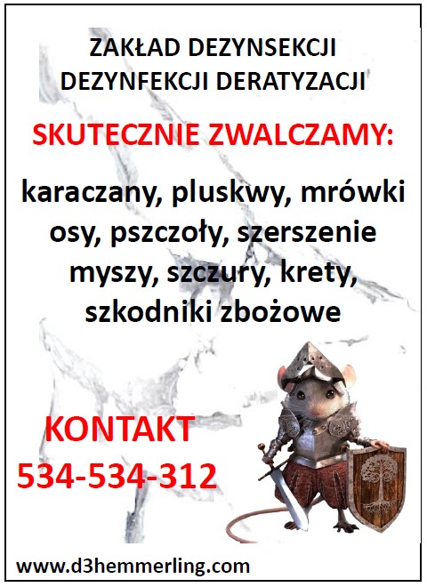 NASZE NOWE WIZYTÓWKI ORAZ ULOTKI