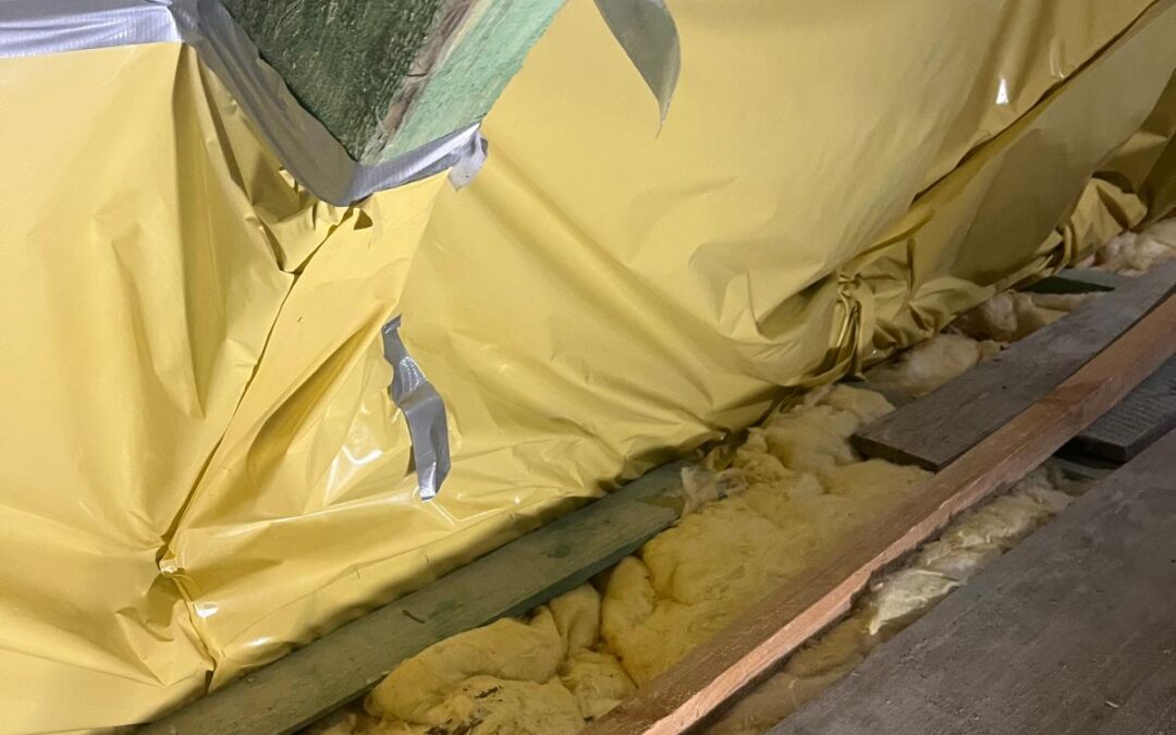 Gazowanie korników czyli FUMIGACJA