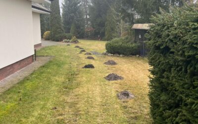 WIOSNA STARTUJE – A KRET LUB NORNICA TRAWNIK RUJNUJE